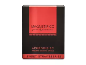 Magnetifico Aphrodisiac Candle Sweet Strawberries VALAVANI