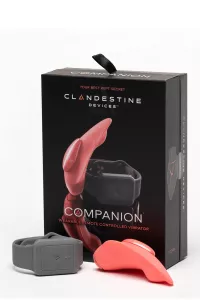 Clandestine Companion