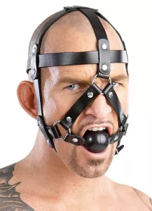 Zado Leather Head Harness