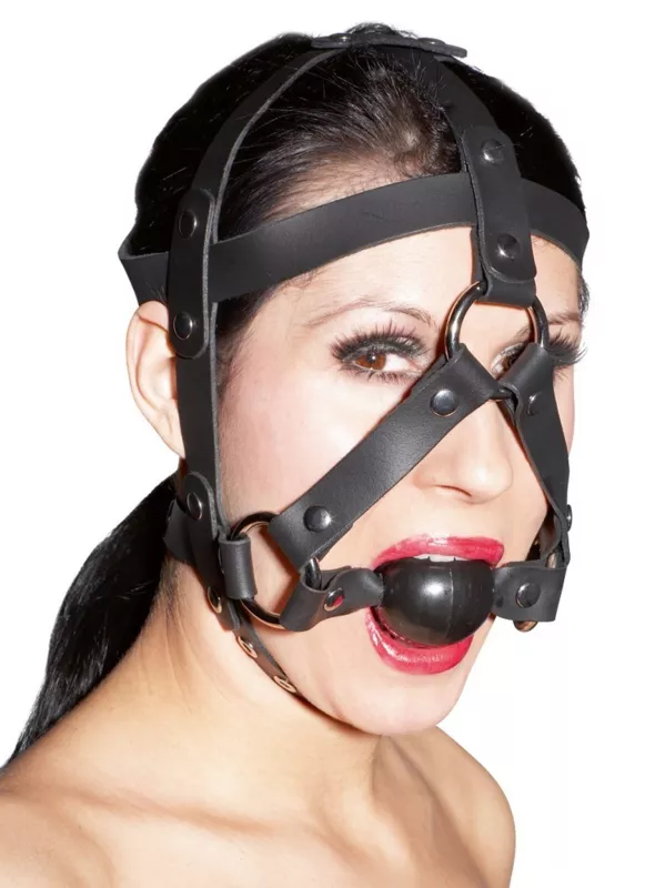 Zado Leather Head Harness