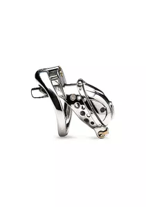 Master Series Deluxe Locking Chastity Cage