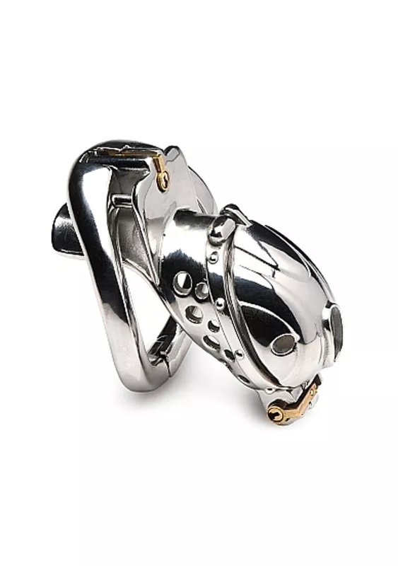 Master Series Deluxe Locking Chastity Cage