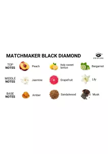 Matchmaker Pheromone Parfum for Him Black Diamond 30 ml EYE OF LOVE